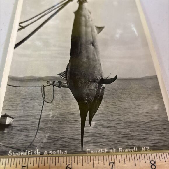 Original VTG New Zealand Government Publicity Photo Swordfish Caught @ Russell - Picture 3 of 6